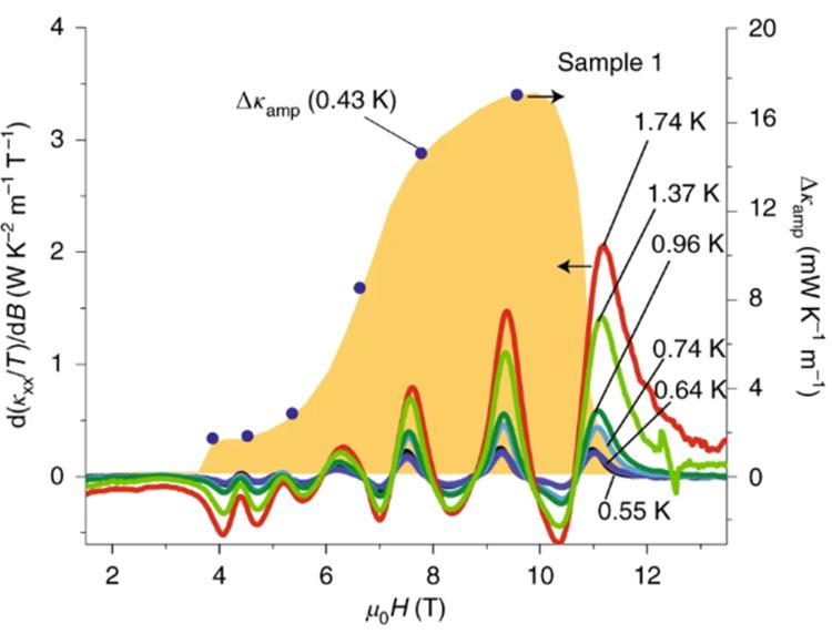 thermal_transport_fig1